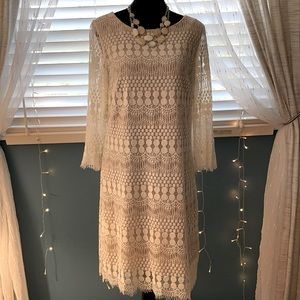 Beautiful Lace lined Dress